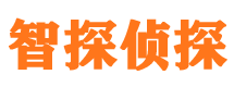 陆川市场调查